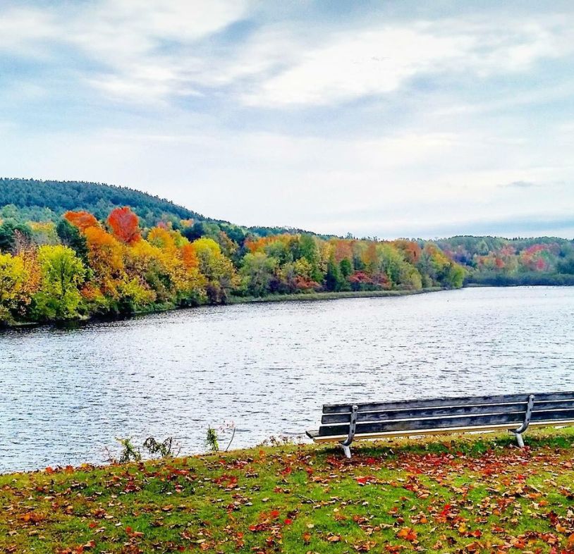 Community Housing Council